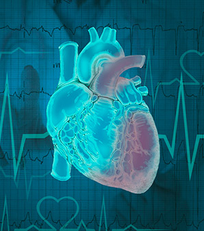 心脏标志物技术资料
