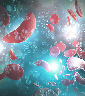 骨代谢技术资料